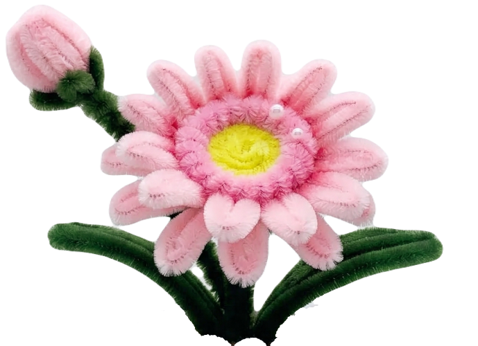 Gerbera Pink